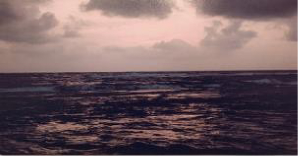 Beruwela 2 (triptych)